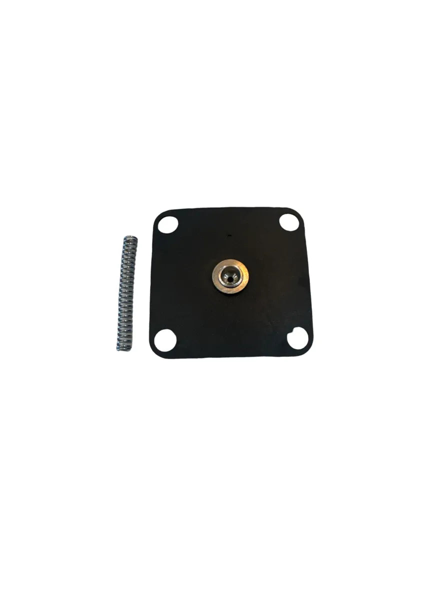 Diaphragm Repair Kit
