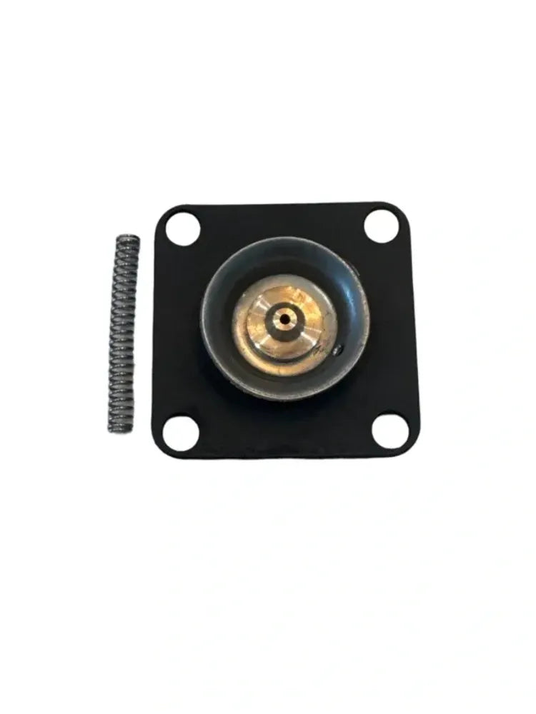 Diaphragm Repair Kit